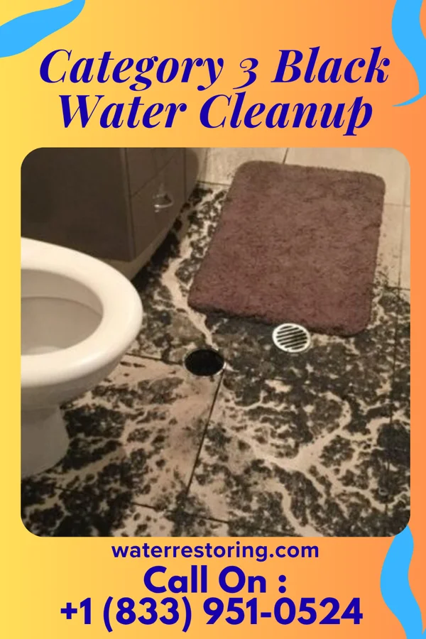 Category 3 Black Water Cleanup in Steely Hollow, OK