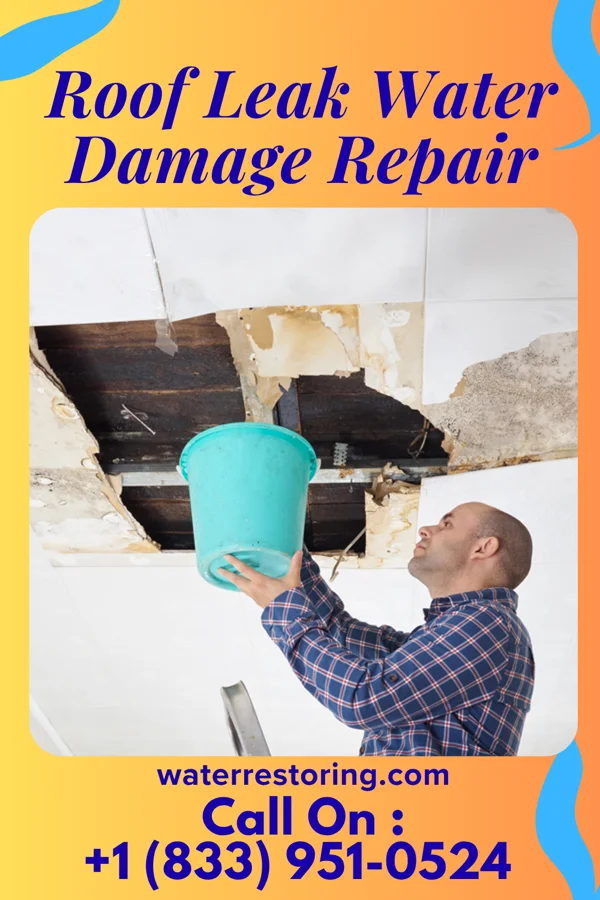 Roof Leak Water Damage Repair in Steely Hollow, OK